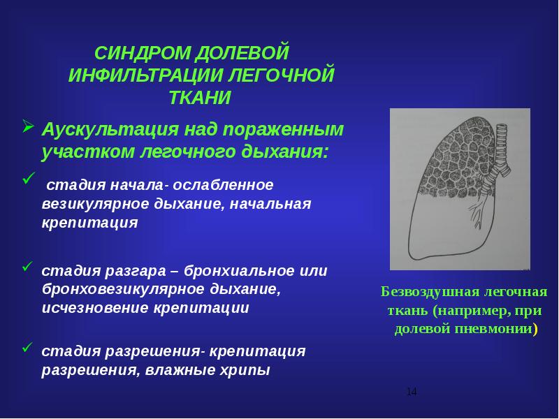 Что такое инфильтрация. Инфильтрационный туберкулез. Клинические симптомы инфильтративного туберкулеза. Фиброторакс шварты. Формы инфильтративного туберкулеза легких.