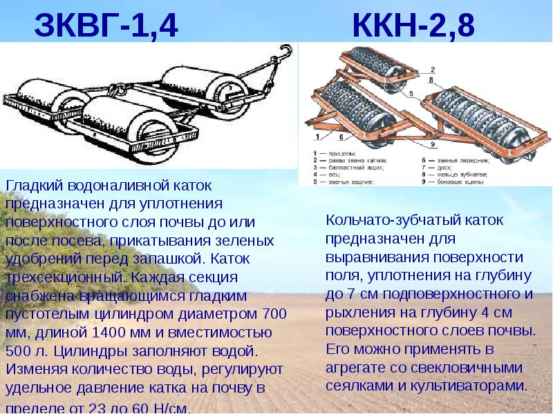 Роман алексеевич моторов