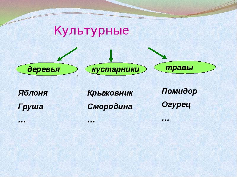 Культурные травы. Культурные растения деревья. Культурные деревья кустарники травы. Культурные растения деревья кустарники травы. Дикорастущие и культурные деревья кустарники травы.