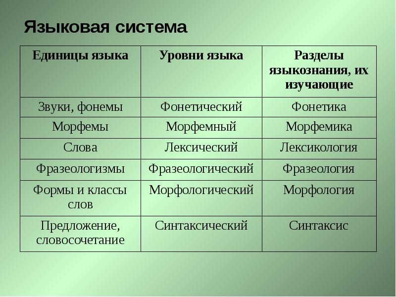 План содержания и план выражения в грамматике языкознание