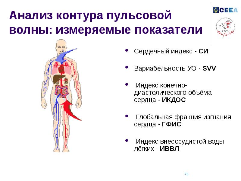 Мануальная терапия презентация