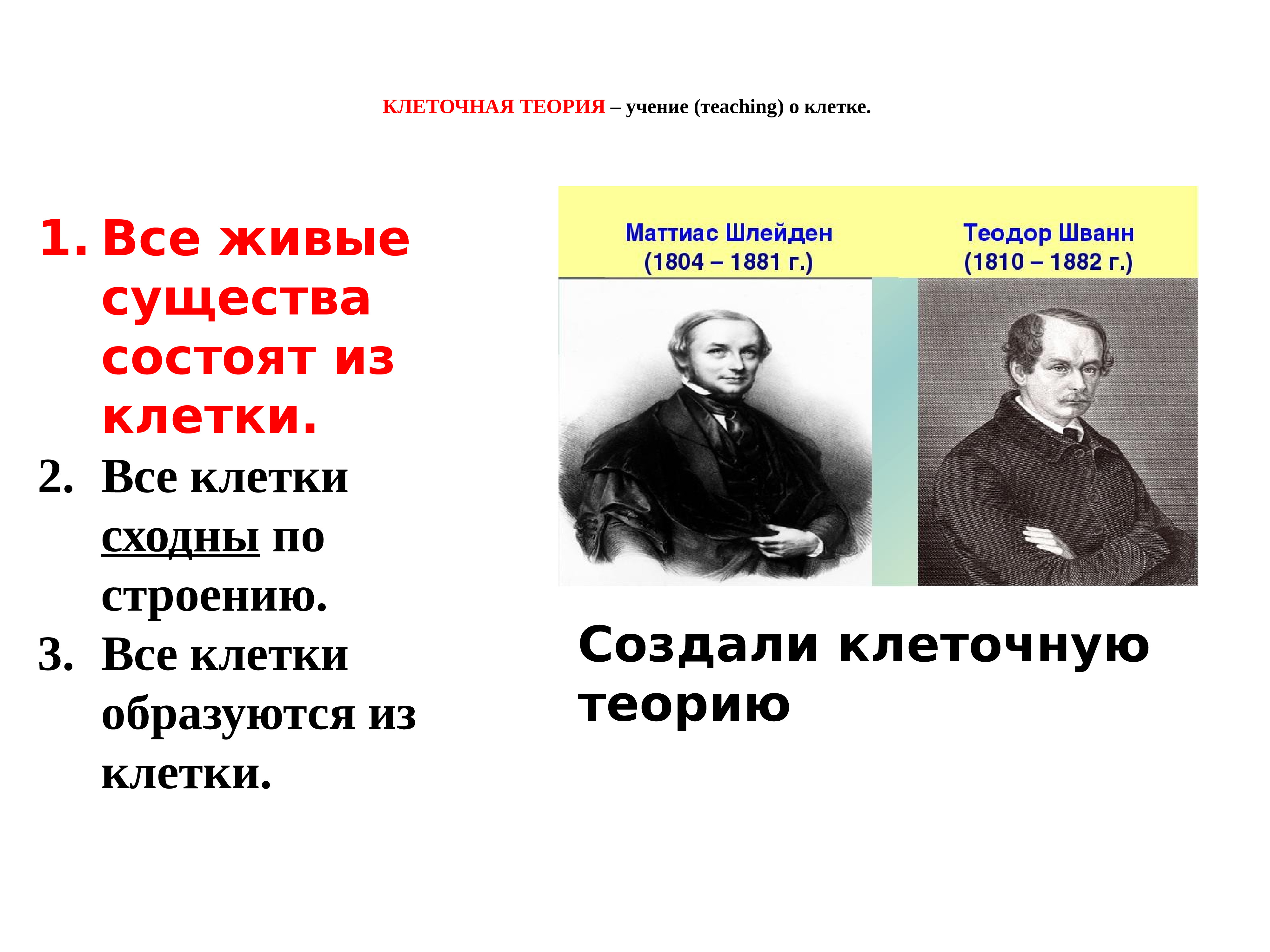 Кто создал клеточную теорию. Учение о клетке. Учение о клетке клеточная теория. Основоположники клеточной теории. Клеточная теория ученые.