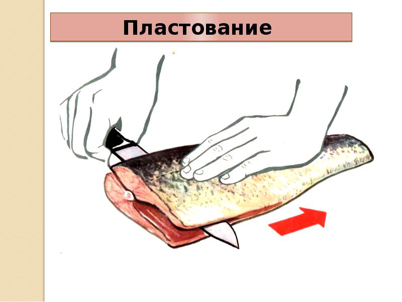 Схема обработки бесчешуйчатой рыбы