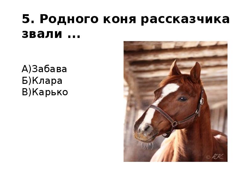 Тест по литературе о чем плачут лошади. Лошадь плачет. Рисунок к рассказу о чём плачут лошади. Рыжуха образ лошади. Ф Абрамов о чём плачут лошади.