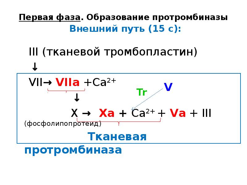 15 путь