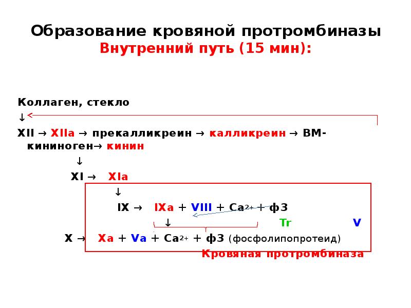 15 путь