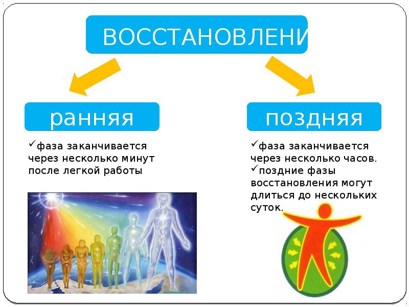 Проект утомление при физической и умственной работе