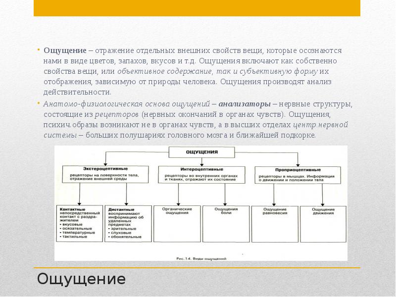 Ощущения отражают. Вещь свойство отношение в философии. Ощущение как чувственное отображение отдельных свойств предметов. Ощущение это отражение свойств. Ощущения отражают аспекты объективной действительности в.