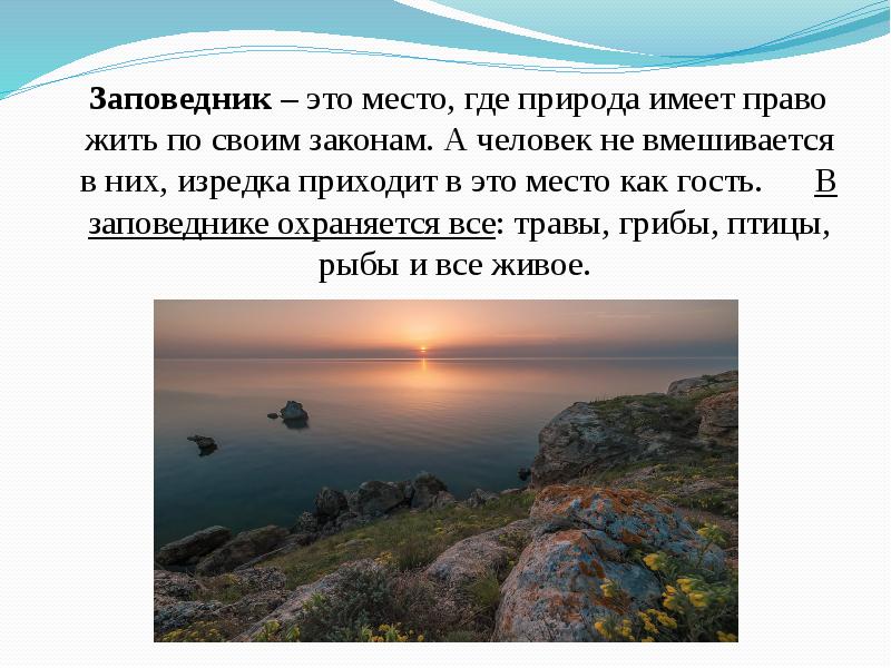 Название заповедника в крыму. Казантипский природный заповедник сообщение. Крымский природный заповедник презентация. Сообщение на тему Казантипский заповедник. Крымский заповедник доклад.