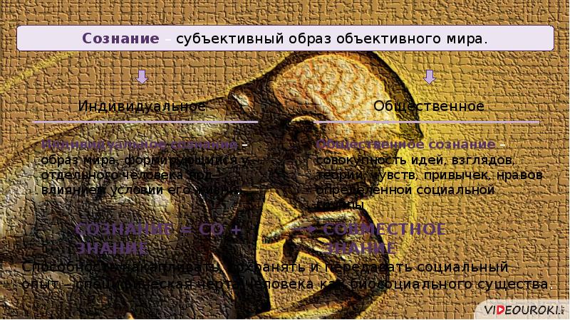 Происхождение и сущность сознания философия презентация