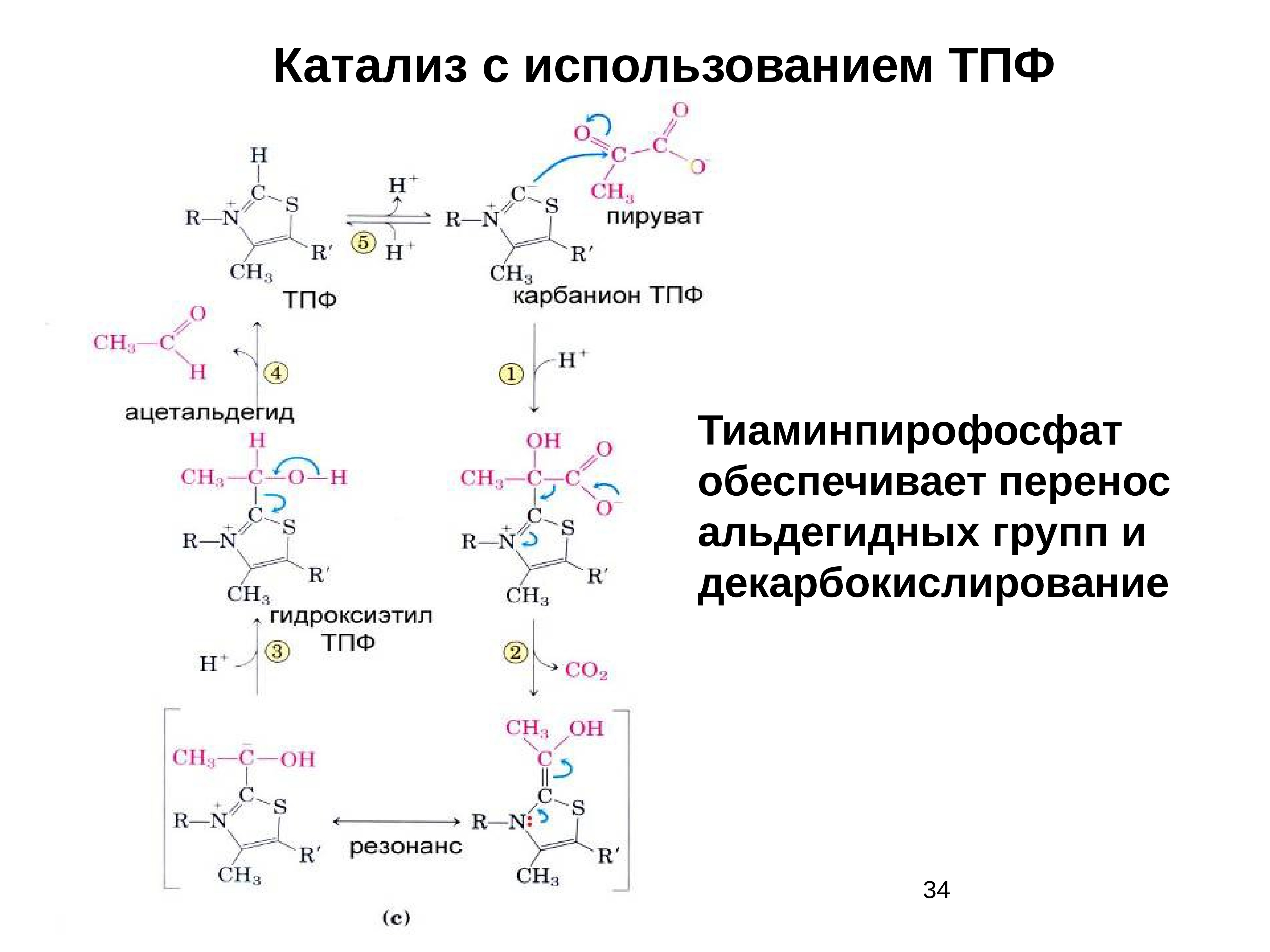 Катализ. ТПФ биохимия. ТПФ реакции. Тиаминпирофосфат (ТПФ).