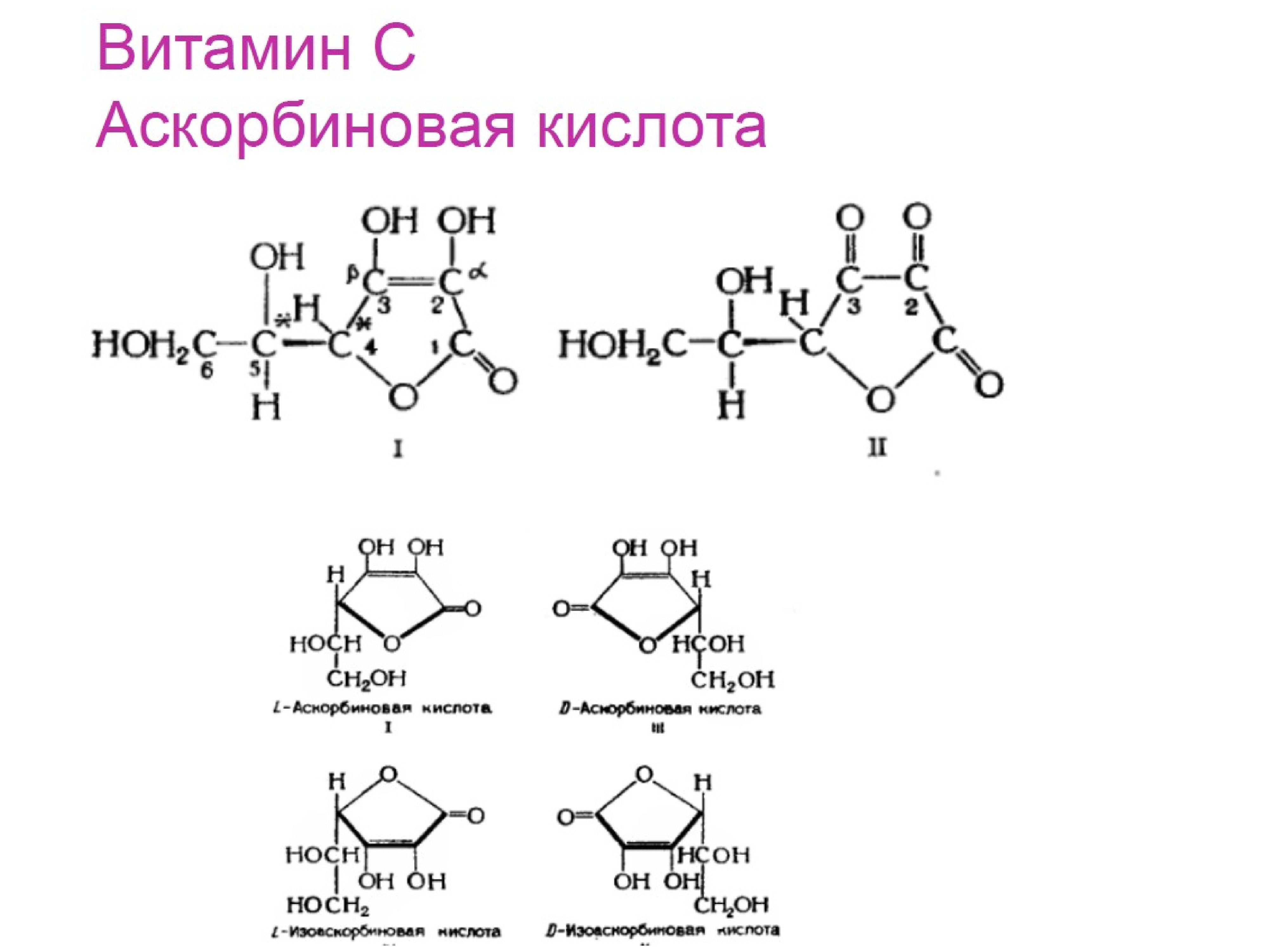 Витамины презентация анатомия