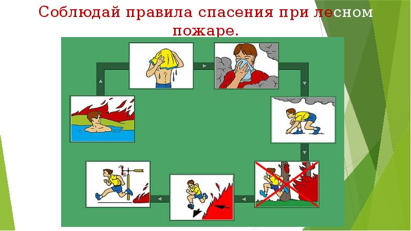 Всероссийский единый урок по обж презентация