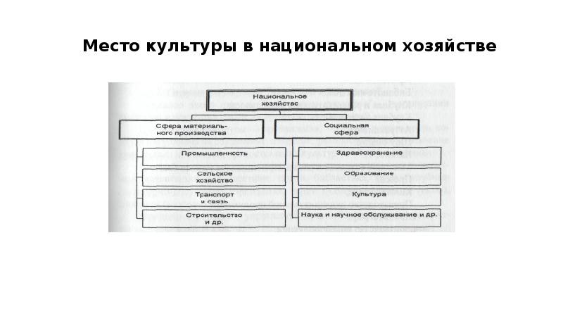 Сфера культуры виды деятельности. Сферы культуры. Роль техники в культуре.