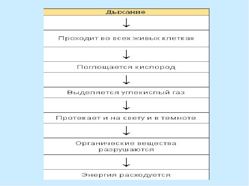 Жизнедеятельность клетки 5 класс фгос пасечник презентация