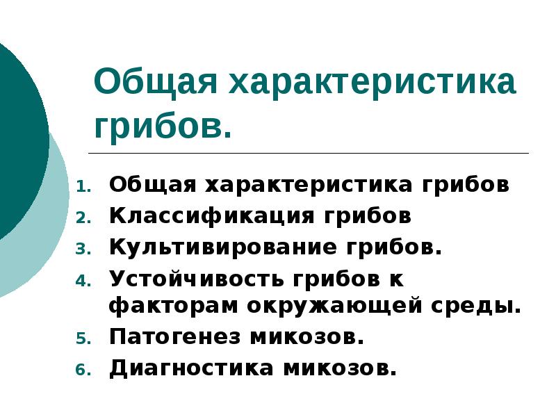 Грибы общая характеристика презентация