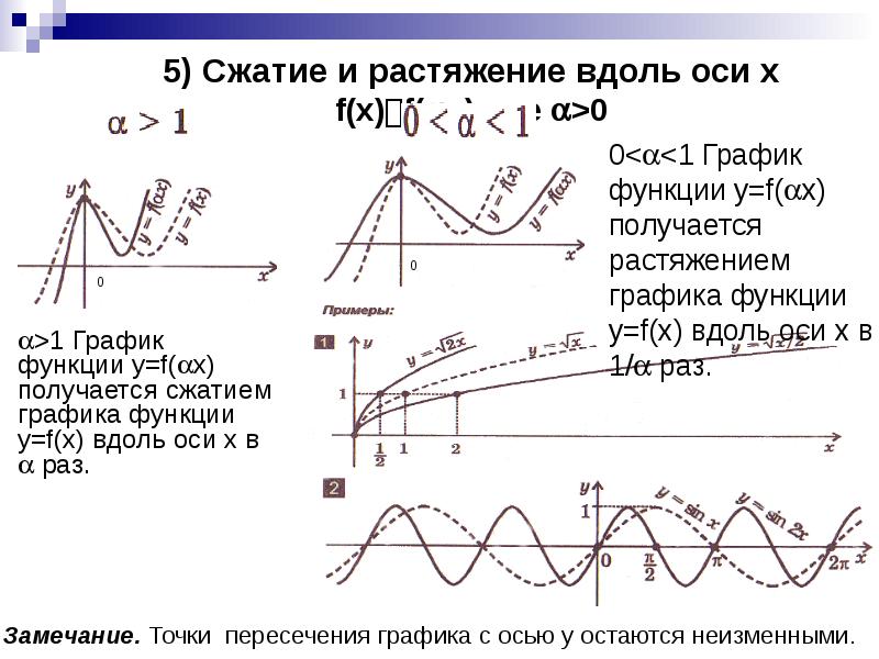 Растяжение и сжатие. Сжатие Графика вдоль оси ох. Сжатие и растяжение вдоль оси y. Растяжение Графика функции вдоль оси.