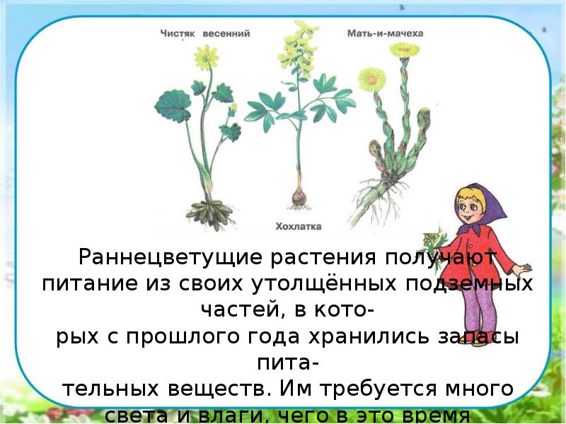 В гости к весне презентация 2 класс окружающий мир плешаков