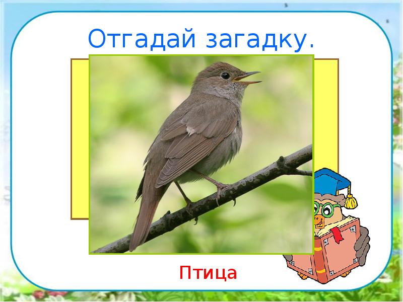 В гости к весне экскурсия презентация 2 класс окружающий мир плешаков