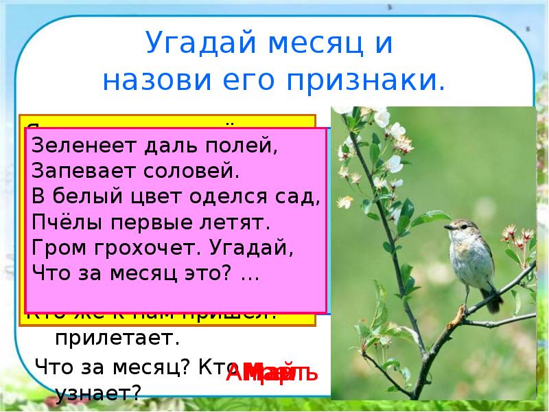 В гости к весне экскурсия презентация 2 класс окружающий мир плешаков