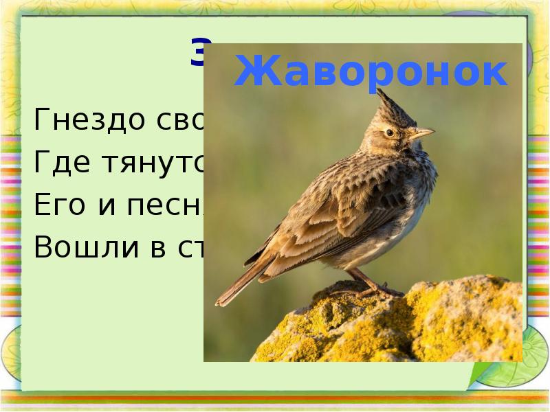 Загадка гнездо. Загадка про гнездо. Загадка с гнездовьем. Загадка гнёздышко. Загадка про гнездо для детей 6-7 лет.