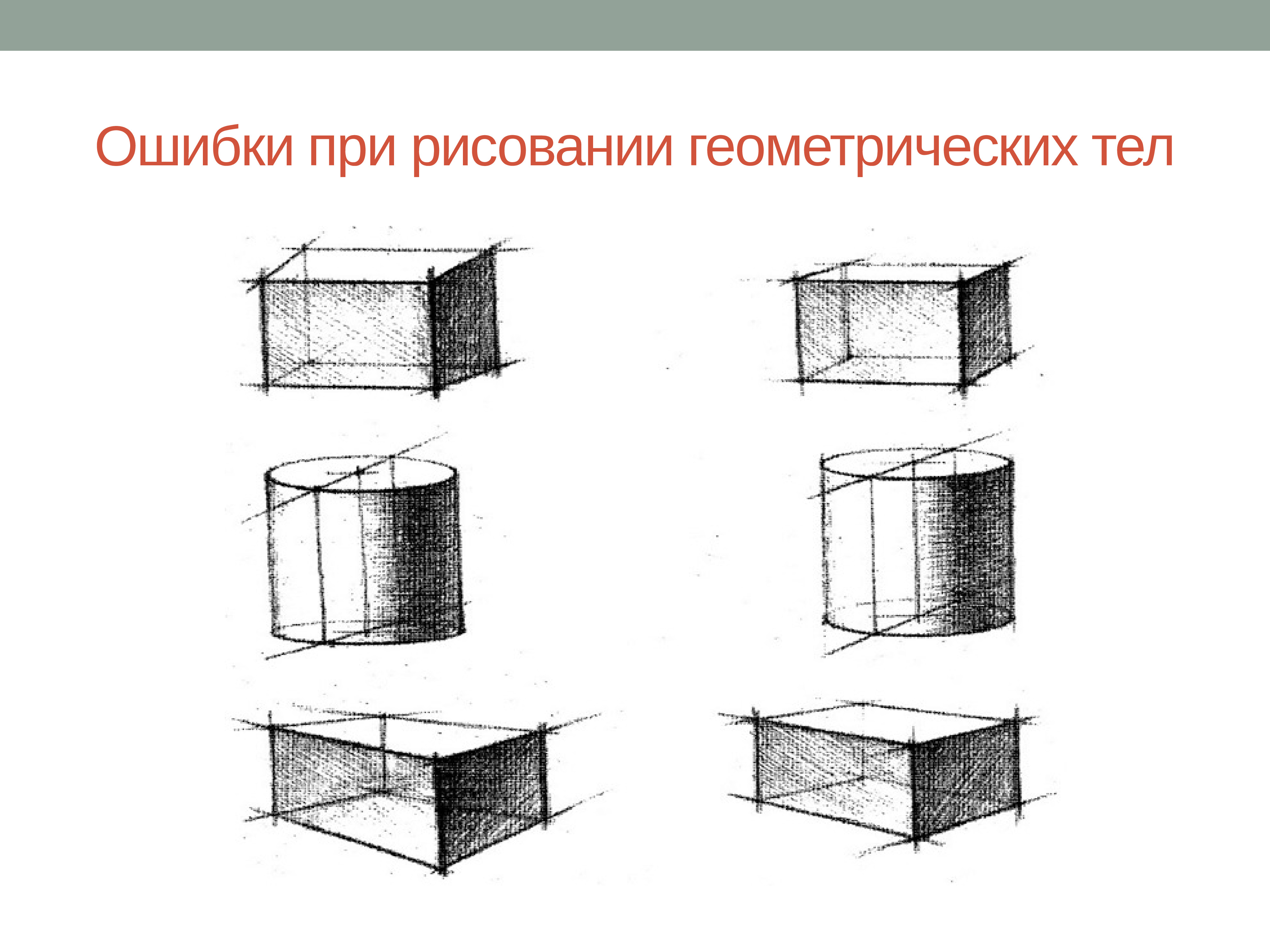 Тест основы рисунка