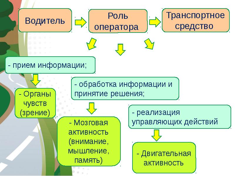 Циклы предметов. Органы чувств прием информации и.