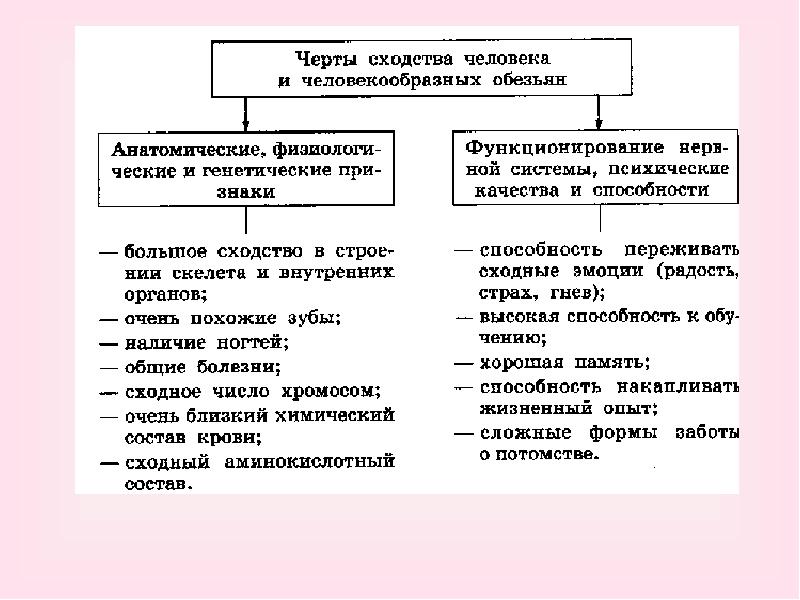 Рассмотрите рисунок укажите черты сходства и различия человека и человекообразных обезьян