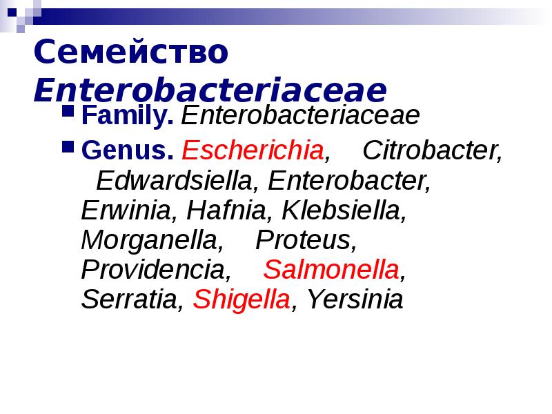 Энтеробактерии. Энтеробактерии микробиология. Сем enterobacteriaceae. Микроорганизмы семейства enterobacteriaceae. Бактерия семейства энтеробактерий.