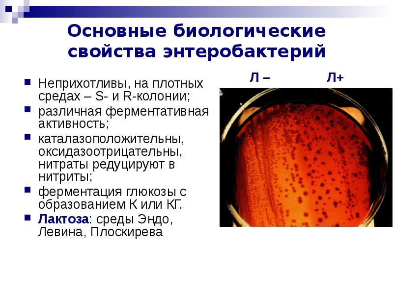 Более плотная среда это среда в которой