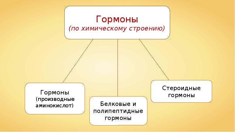 Проект на тему гормоны 8 класс