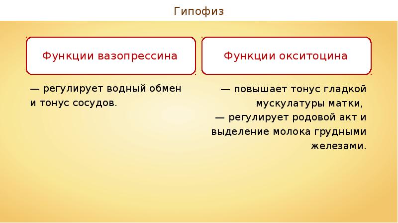 Железы внутренней секреции и их функции 8 класс презентация пасечник линия жизни