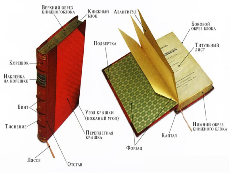 Из чего состоит книга схема