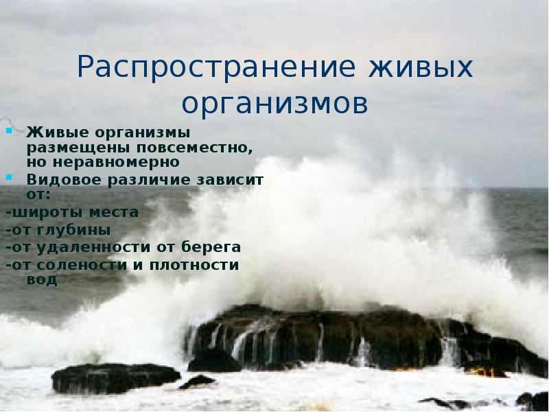 Жизнь в мировом океане 7 класс проект