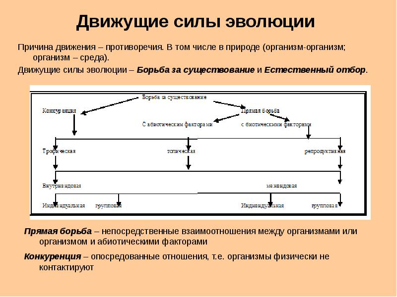 Современная теория эволюции презентация