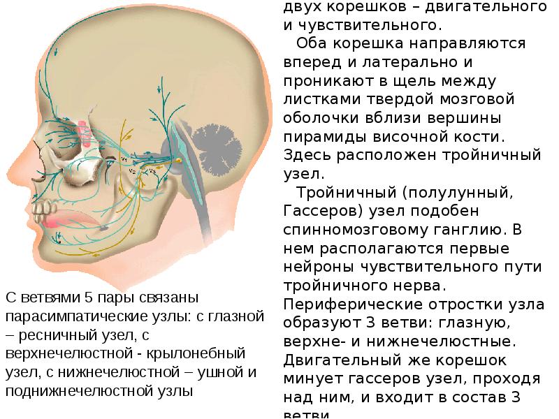 Реабилитация в психиатрии презентация