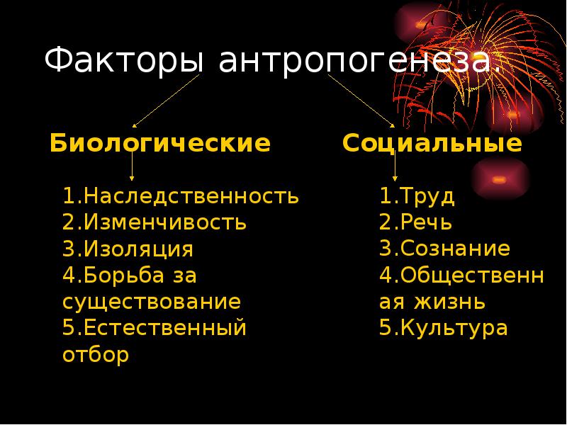 Биологические и социальные факторы эволюции человека презентация