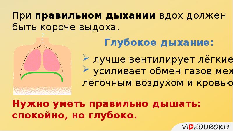 Свист дыхания при выдохе. Короткий выдох при дыхании. Дыхание, при котором вдох короче выдоха. Правильное дыхание это короткий вдох и короткий выдох. Гигиена дыхания презентация.