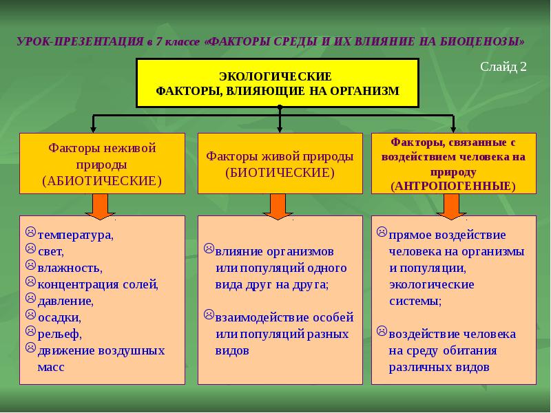 Источники для проекта по биологии