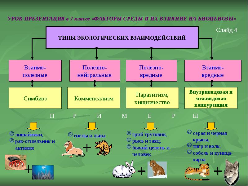 Тема проекта по биологии 7 класса