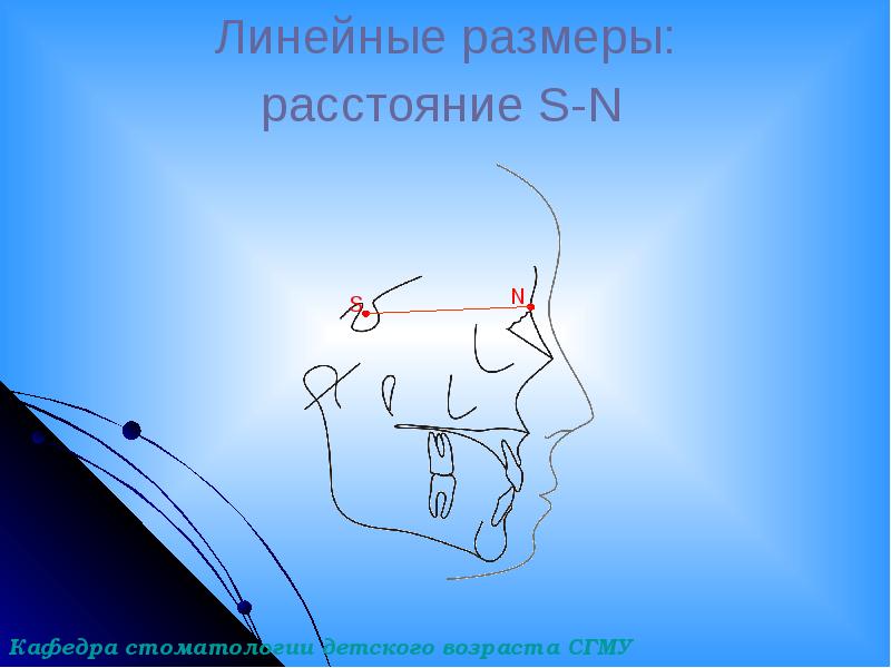 Линейные размеры: Линейные размеры: