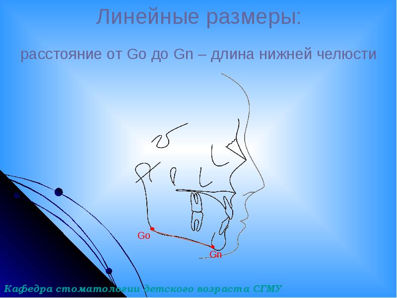 Линейные размеры: Линейные размеры: