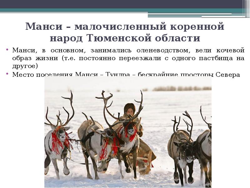 Какого зверя считали народы приамурья. Кочевые народы манси. Коренные народы Тюмени. Коренные народы Тюменской области. Народы севера Тюменской области.