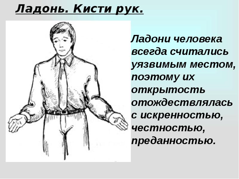 Ладонь. Кисти рук. Ладонь. Кисти рук.