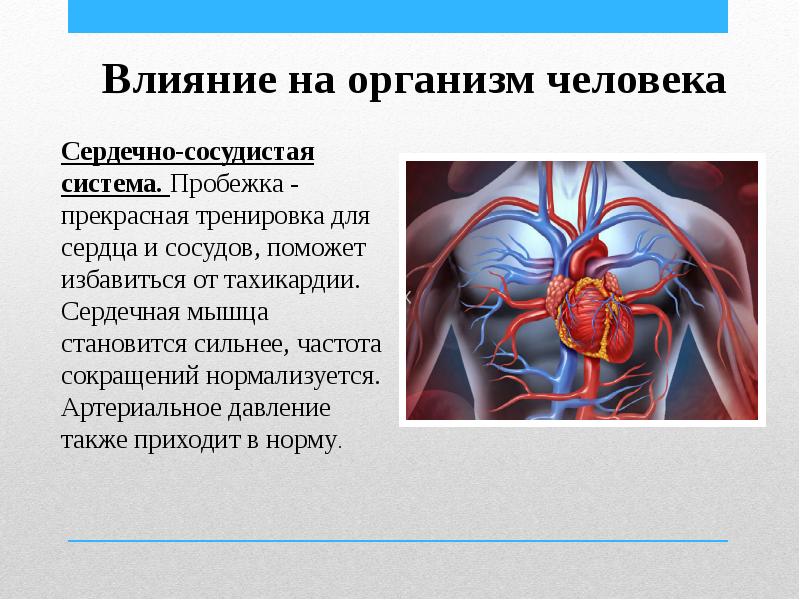 Виды бега и их влияние на здоровье человека проект