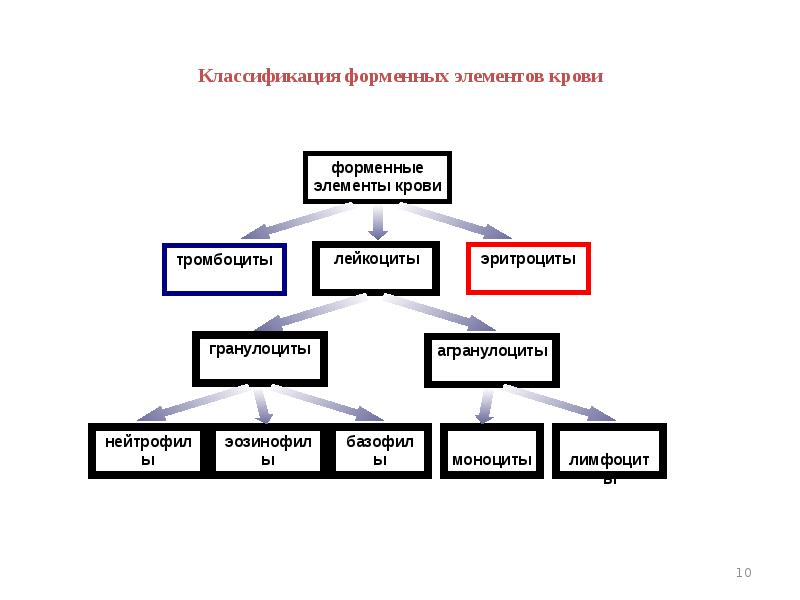 Схема форменные элементы крови