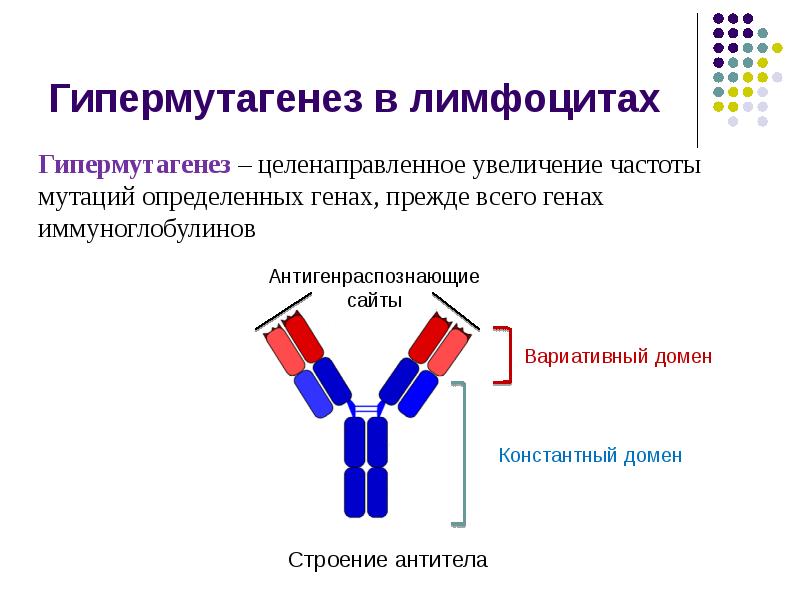 Мутации и мутагены презентация