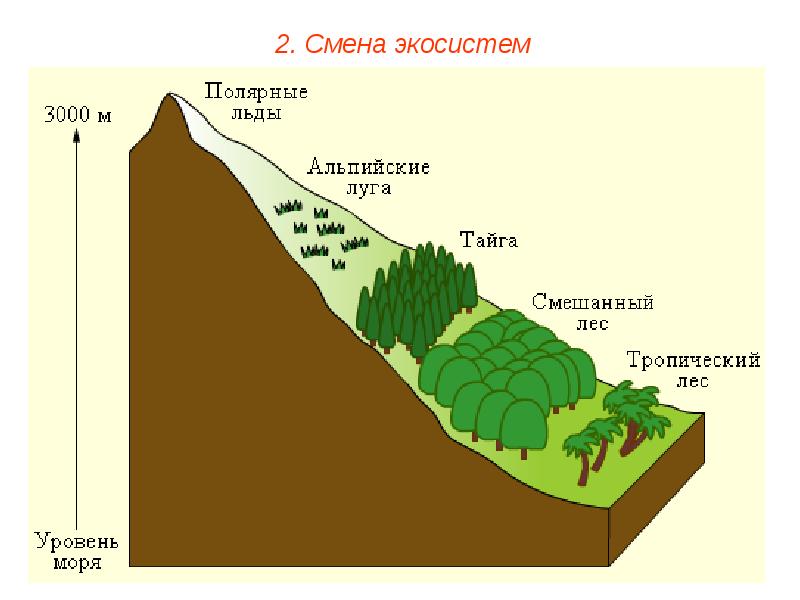 Карта экосистем россии