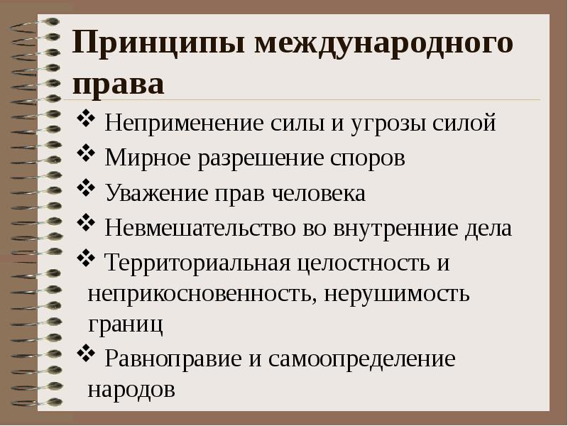 Правовые принципы личности. Принципы международного права. Международные принципы. Международное право принципы. Принципы права международного права.