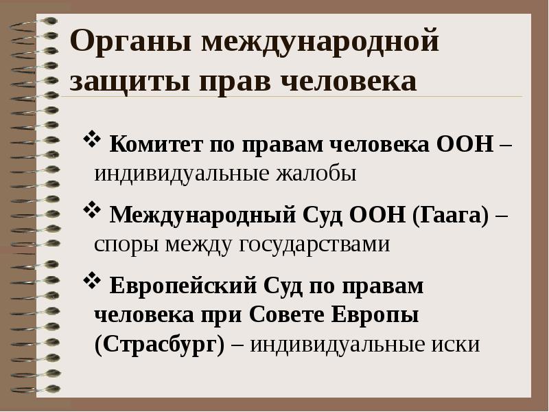 Сложный план по теме международная защита прав человека